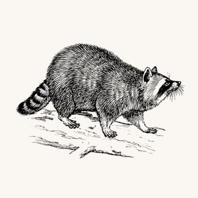 Chi Alpha