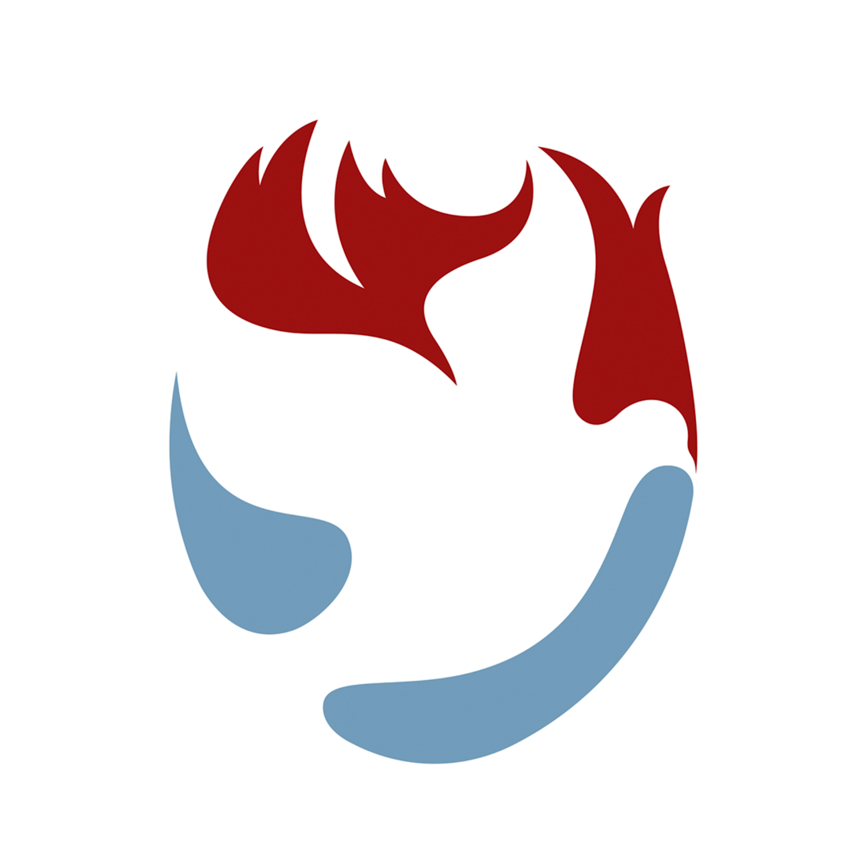 National Service Committee of the Catholic Charismatic Renewal of the U.S. dba Pentecost Today USA