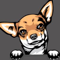 General admission item