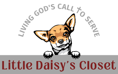 Little Daisy's Closet