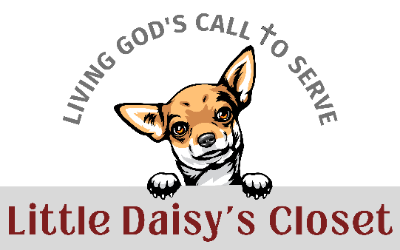 Little Daisy's Closet