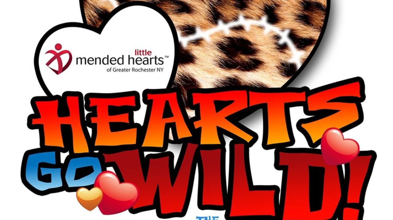 MLH and the Children's Heart Center at URMC 12th Annual Summer Picnic