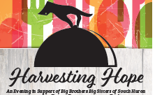 Big Brothers Big Sisters of South Huron