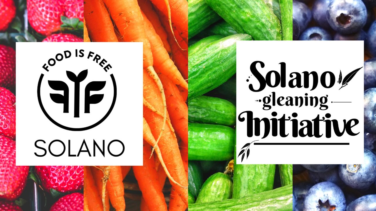 Summer Food for Benicia Families