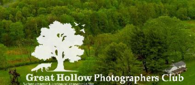 Sherman Artists Association