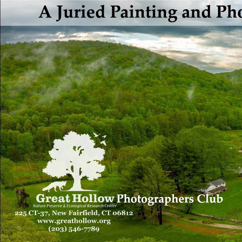 Hosting fee per individual artwork item