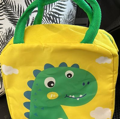 Dinosaur Lined lunchbag item