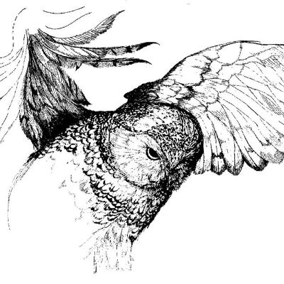 Unitarian Universalist Rowe Camp & Conference Center, Inc.