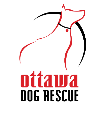 OTTAWA DOG RESCUE