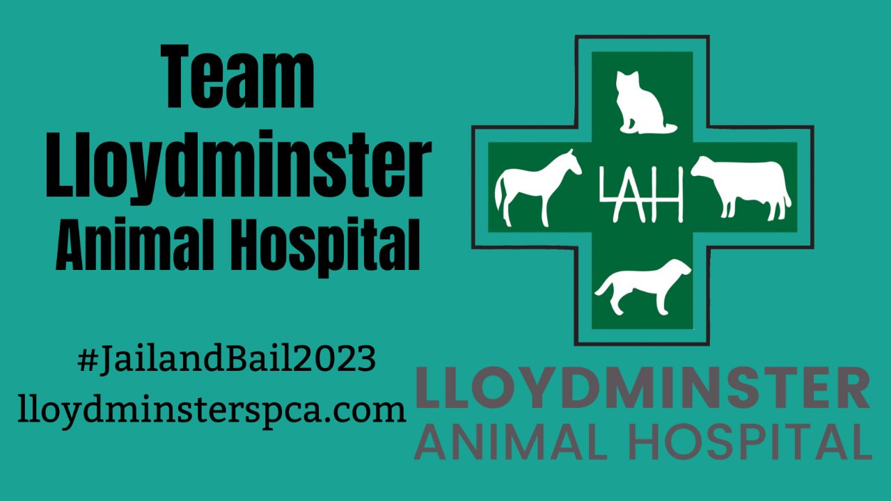 Lloydminster Animal Hospital
