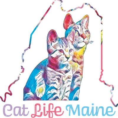 Cat Life Maine