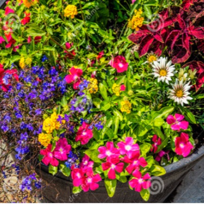 12" MIXED DECO POTS item