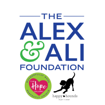 The Alex and Ali Foundation