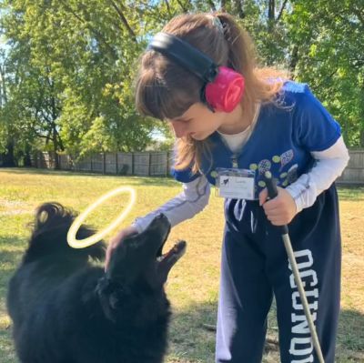 The Alex and Ali Foundation