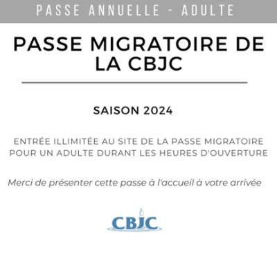 Passe annuelle - Adulte (13 ans et plus) item