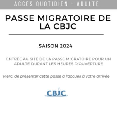 Accès quotidien - Adulte (13 ans et plus) item
