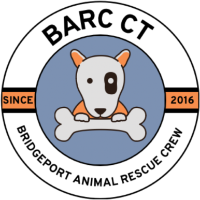 BRIDGEPORT ANIMAL RESCUE CREW INC. (BARC CT)
