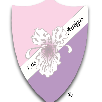 Raleigh-Durham Chapter of Las Amigas