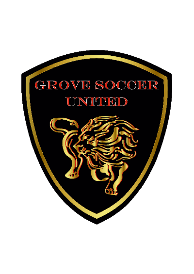 The Grove Foundation