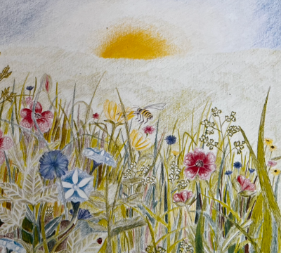 Valley of the Flowers School