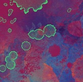 Artists Standing Strong Together