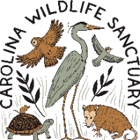 Carolina Wildlife Sanctuary