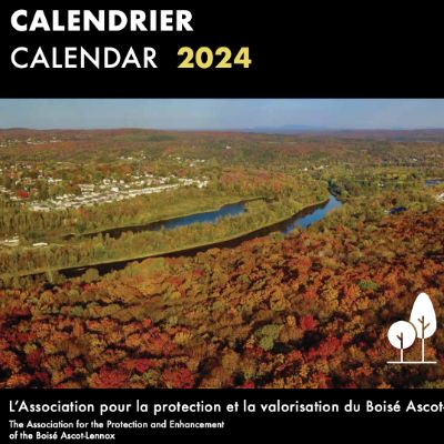 Calendrier 2024 - Vente finale item