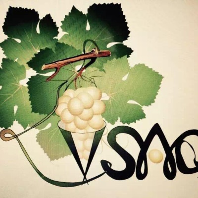 VSAQ