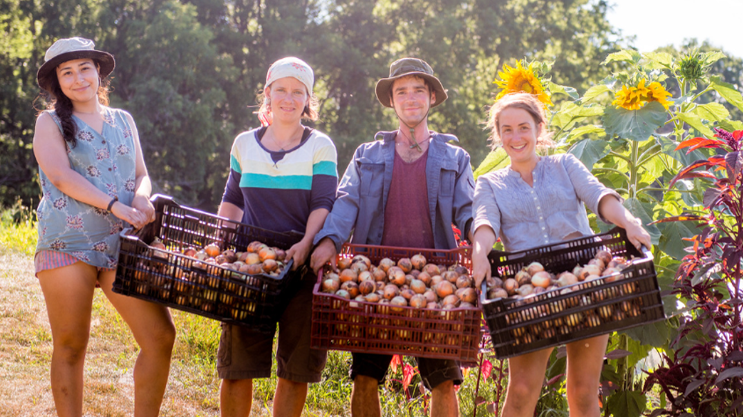 Bis rotatifs dans la Région des Sources