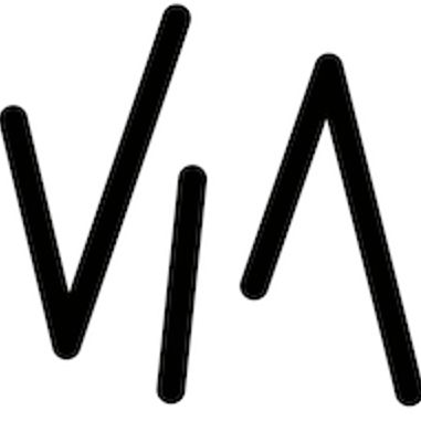 VisionIntoArt Presents Inc