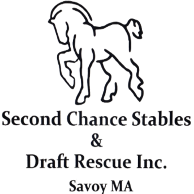 Second Chance Stables & Draft Rescue Inc