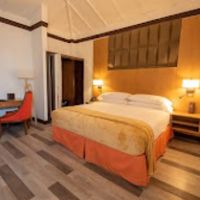 Sago Palm - Single Occupancy(June 7-11) item