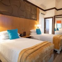 Sago Palm - Double Occupancy(June 7-11) item