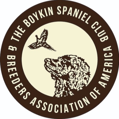 Boykin Spaniel Club & Breeders Association of America