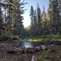 Adult and Youth 12 yrs and above item