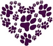 All Paws Rescue Services