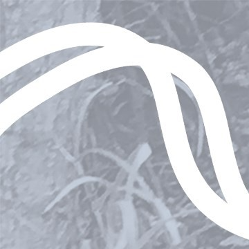 Lands To Travel Through