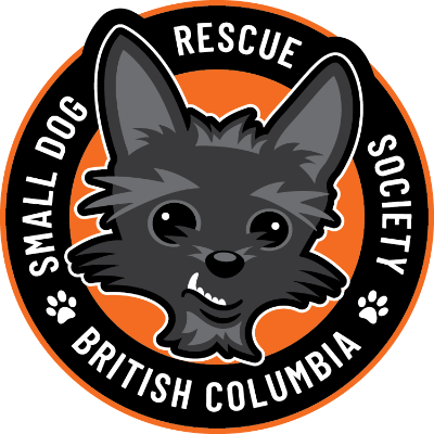 Small Dog Rescue BC
