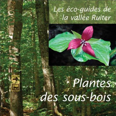 Plantes des sous-bois item