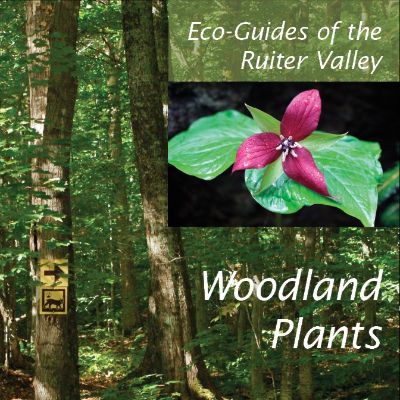 Woodland Plants item