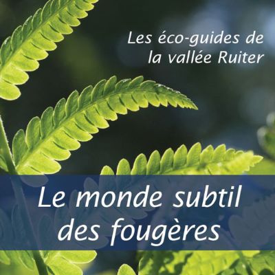 Le monde subtil des fougères item