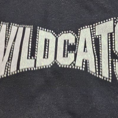 Black Wildcat Hoodie item
