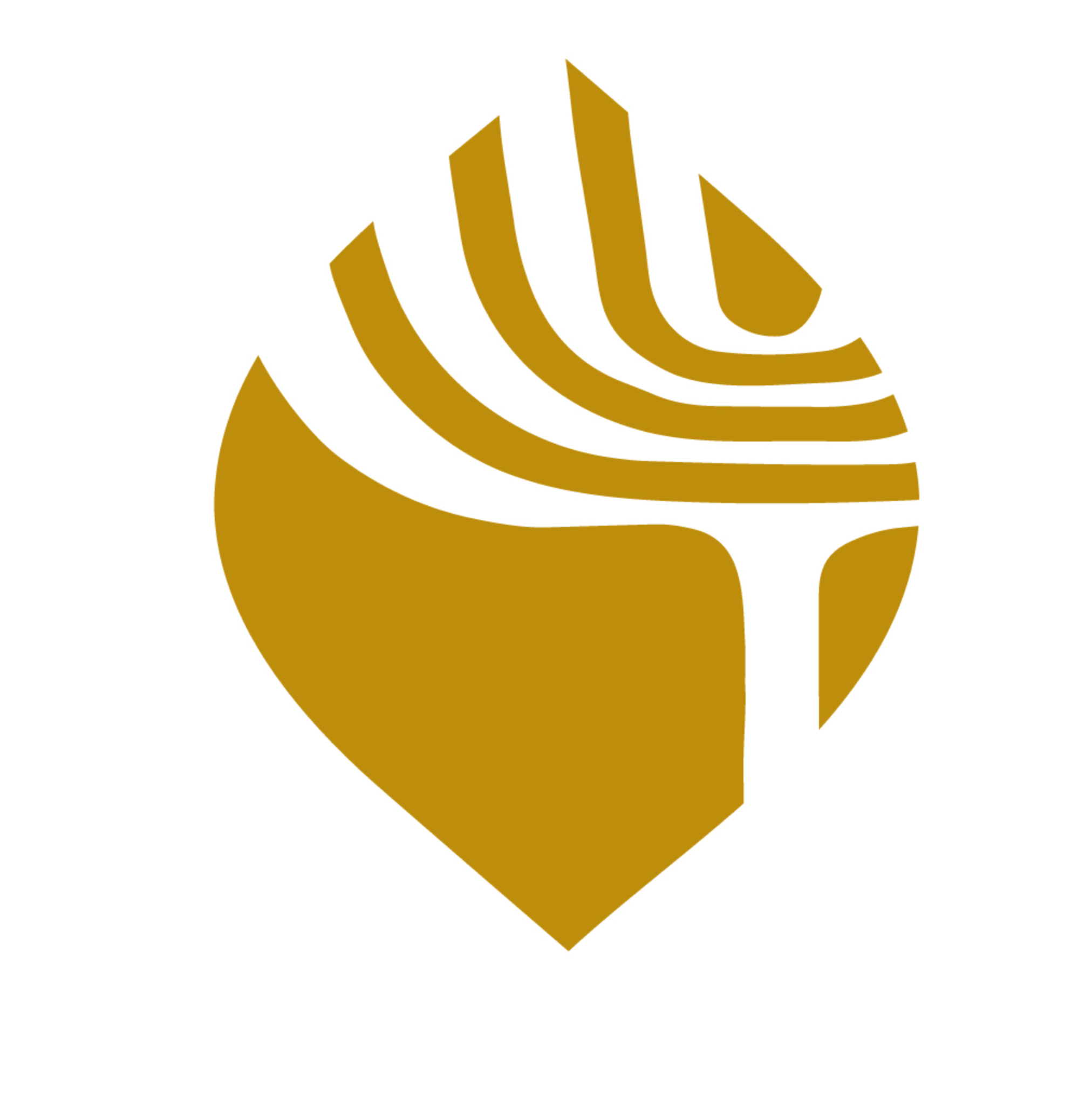Congregation Darchei Noam