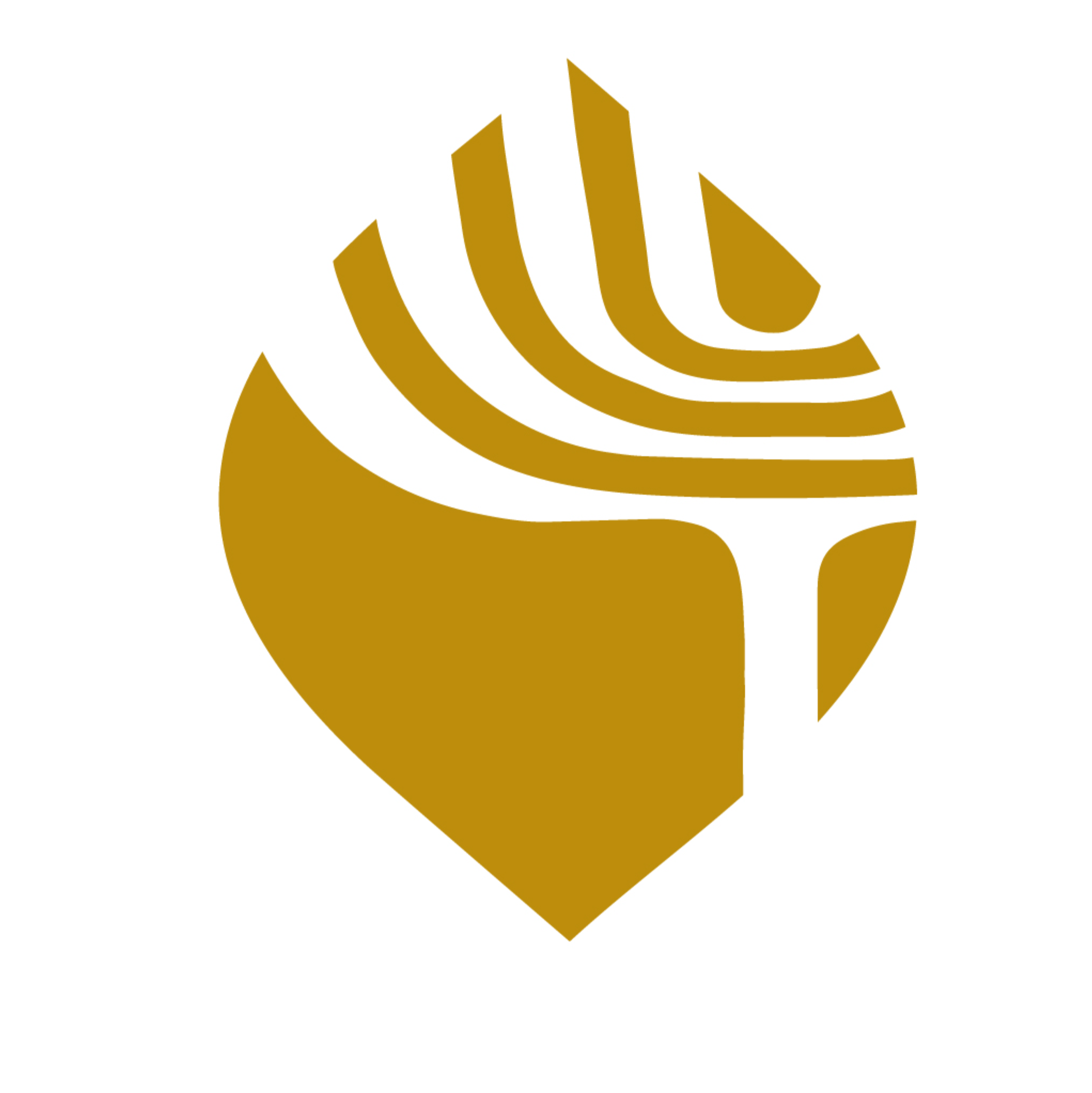 Congregation Darchei Noam