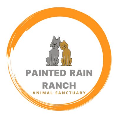 Painted Rain Ranch Animal Sanctuary & Final Refuge