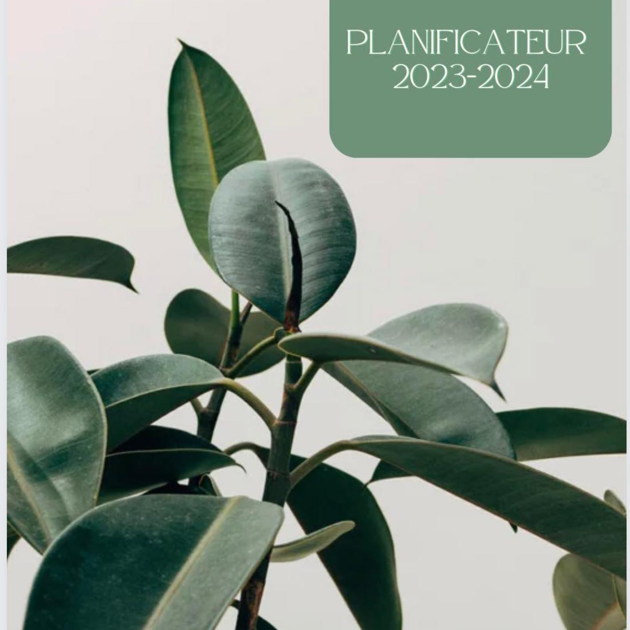 Planificateur Plante item