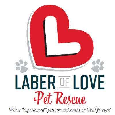 Laber of Love Pet Rescue