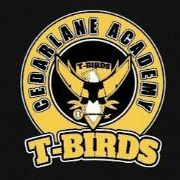 ELEMENTARY T-shirt - YOUTH LARGE item