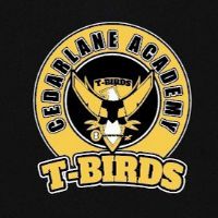 ELEMENTARY T-shirt - ADULT MEDIUM item