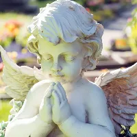 Animal Disaster Services, Inc.